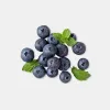 High Protein Berry Smoothie Benefits and What…