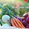 Why Are Organic Foods So Important?